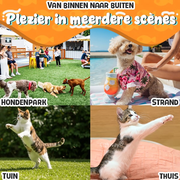 Cithway® Verlichte vliegende schijf-werper kattenspeeltje