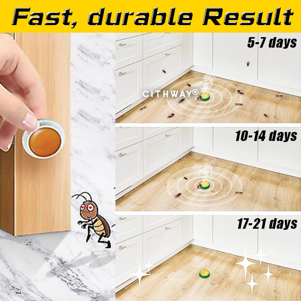 Cithway® Quickatch Roach Ace Bait Station