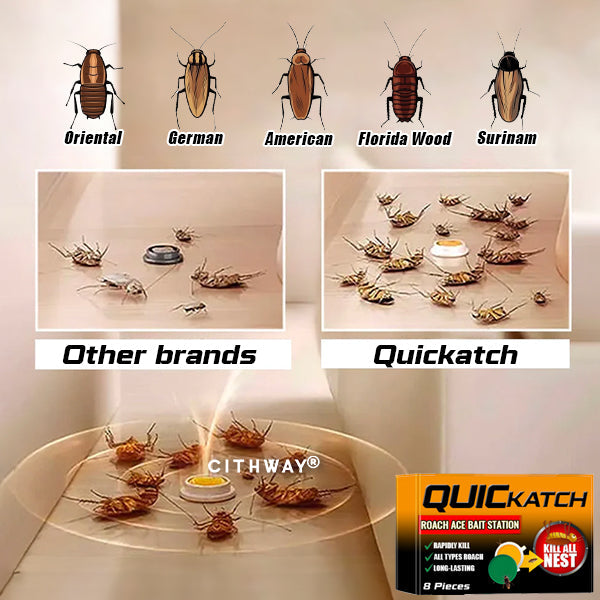 Cithway® Quickatch Roach Ace Bait Station