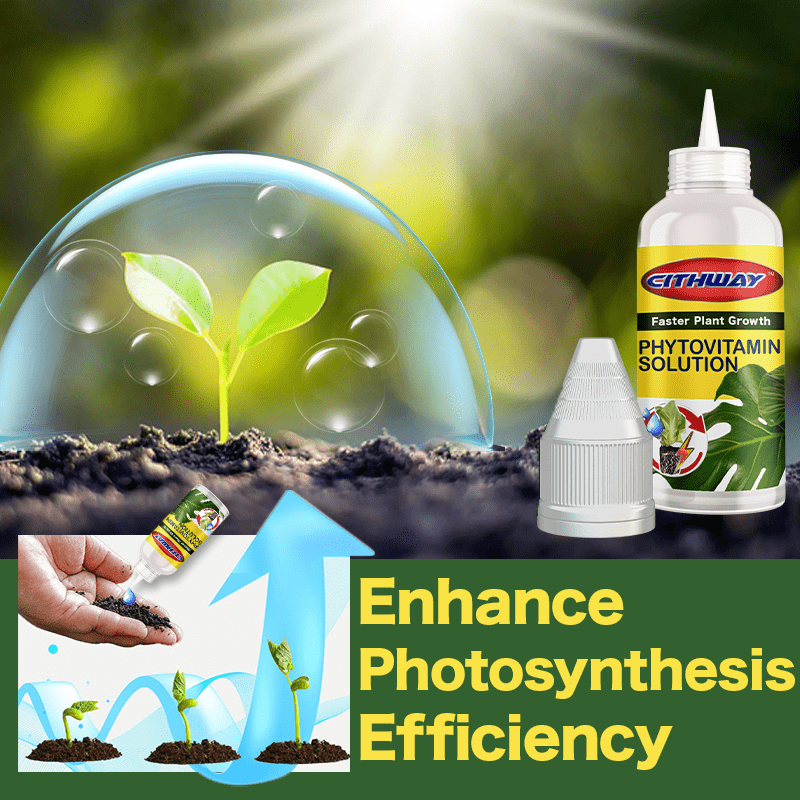 Cithway™ All-Round Plant Growing Nutritional Elixir