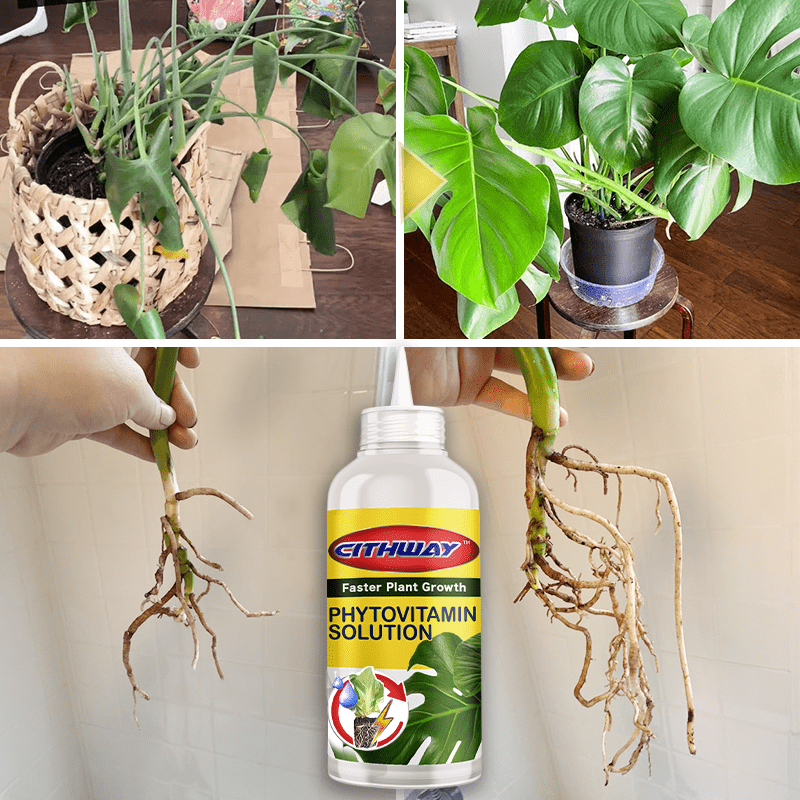 Cithway™ All-Round Plant Growing Nutritional Elixir