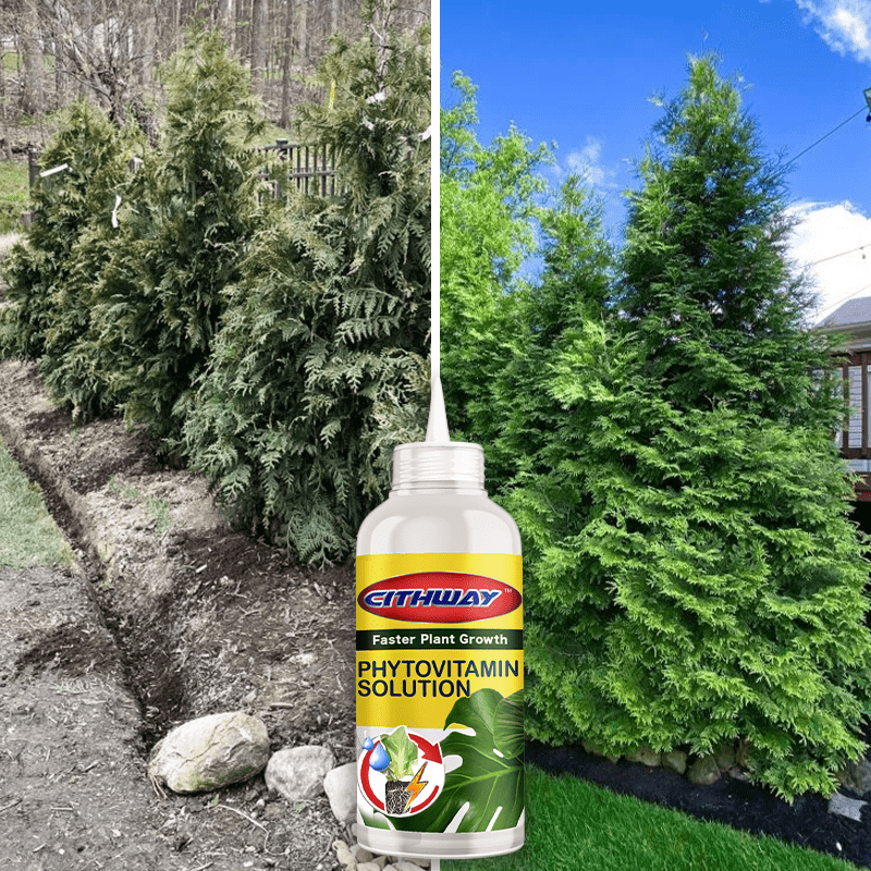 Cithway™ All-Round Plant Growing Nutritional Elixir