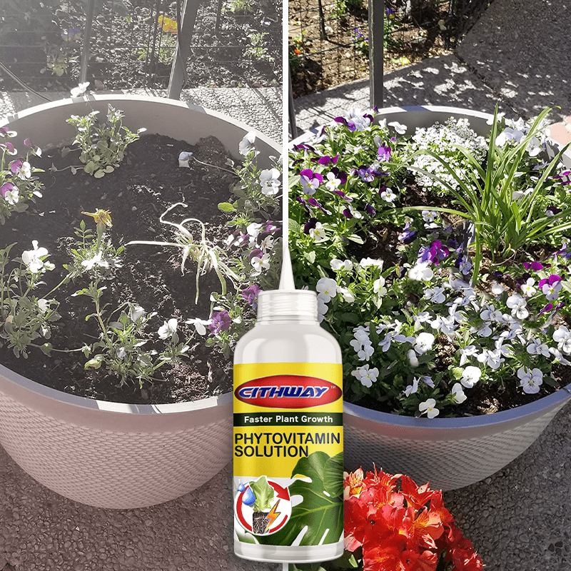 Cithway™ All-Round Plant Growing Nutritional Elixir